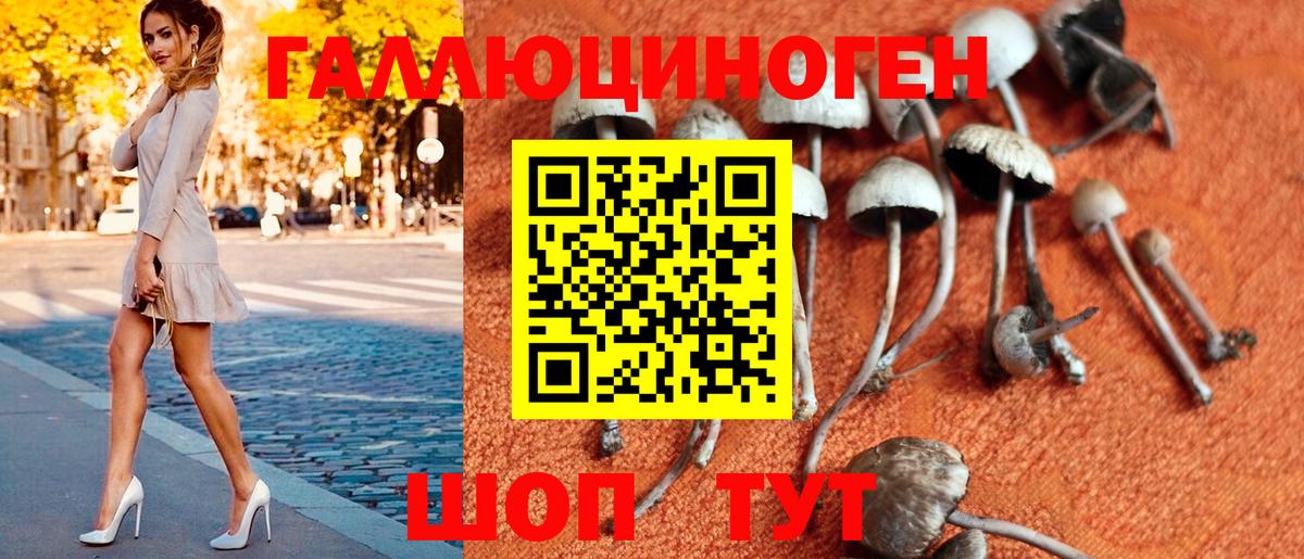 Галлюциногенные грибы Magic Shrooms  Псилоцибиновые грибы ЛСД  Вход с VPN  Новокубанск 